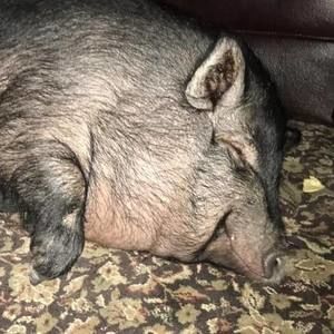 Meet your Posher, Esperanza